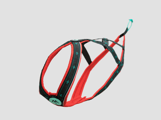 musher TAKOTNA Harness