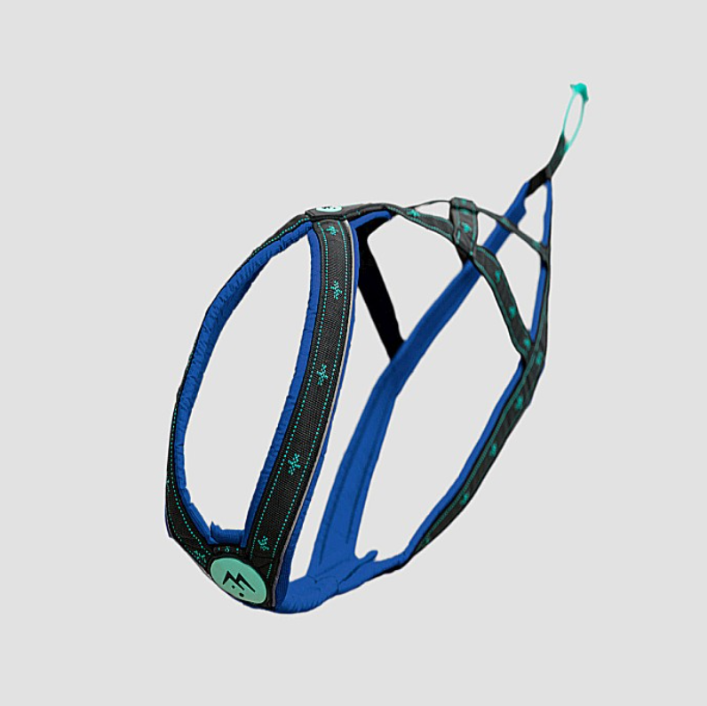 musher TAKOTNA Harness